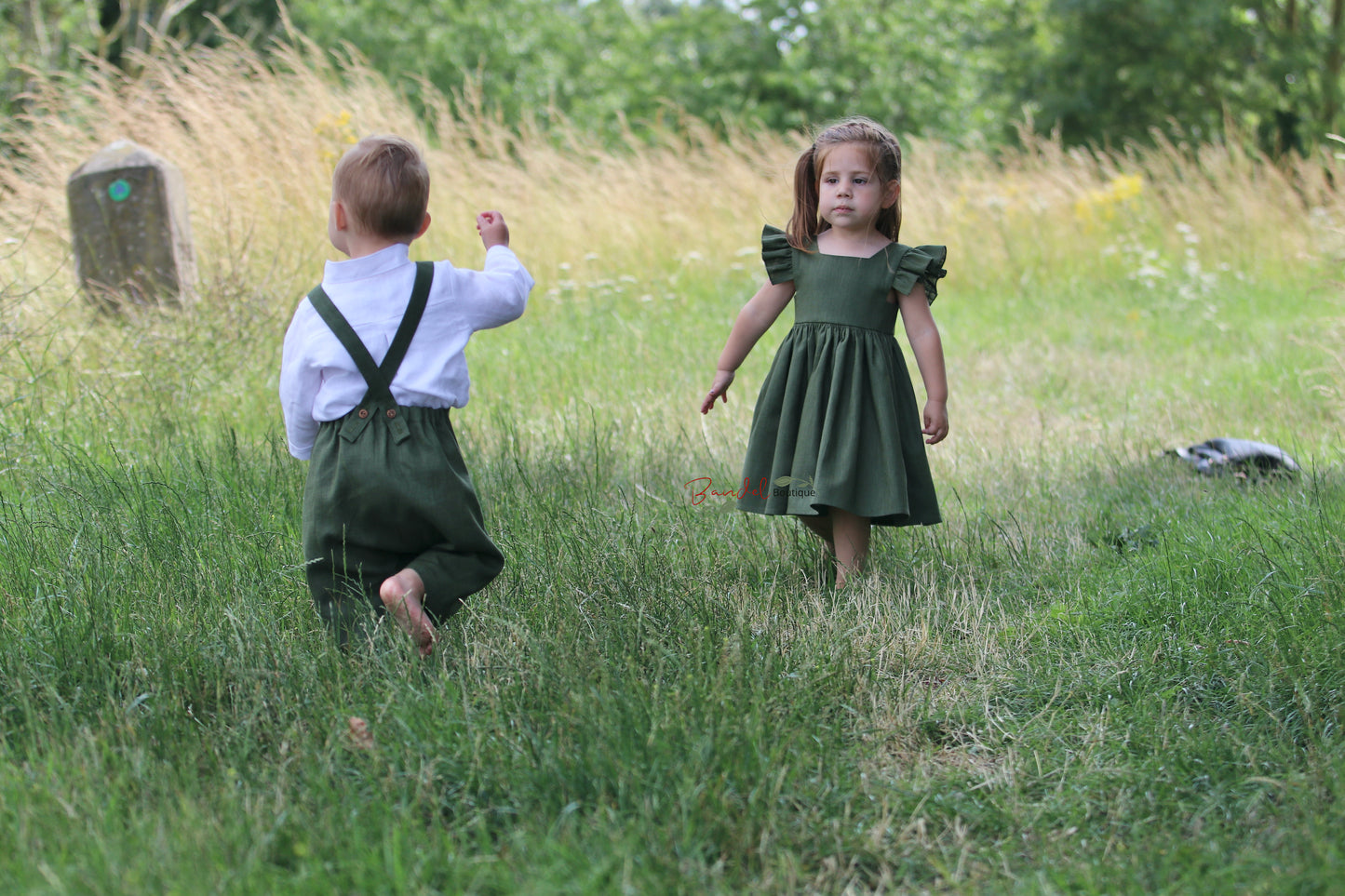 Flutter Sleeves Linen Dress