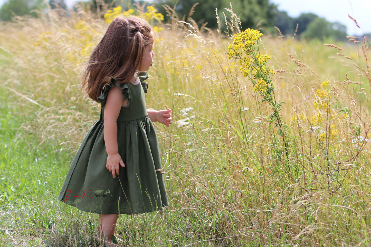 Flutter Sleeves Linen Dress